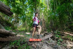 BIB: 
                            <button type="button" onclick="openModal(19391956)" class="btn btn-primary btn-sm float-right btn-popup" data-toggle="modal" data-target=".modal-high-quality">
                        <i class="fas fa-shopping-cart"></i> Add to Cart
                    </button>
                                            <button type="button" onclick="isThisMe(19391956, true)" class="btn btn-success btn-sm float-right btn-popup btn-isme hidden" data-toggle="tooltip" data-placement="bottom" title="นี่คือรูปของคุณใช่ไหม คลิกที่นี่เพื่อเอาเข้าอัลบั้ม">
                        <i class="fas fa-plus"></i> Add to album
                    </button>
                    <button type="button" onclick="isThisMe(19391956, false)" class="btn btn-warning btn-sm float-right btn-popup btn-isnotme hidden">
                        <i class="fas fa-ban"></i> Remove from album
                    </button>